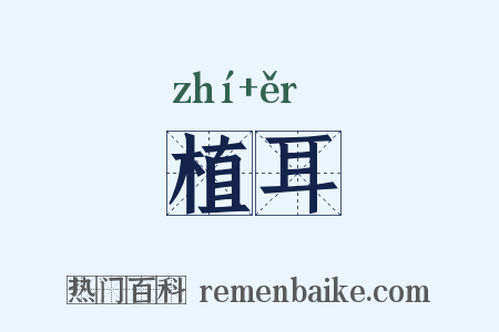 植耳是什么意思的图片